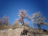 imag3311