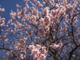 pict0010