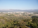 pict0008