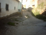 IMAG4242