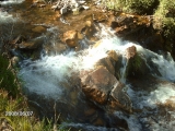 IMAG4272