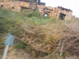 DIGITAL CAMERA