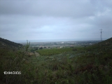 imag0318