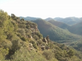 PICT0015