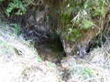 img_1508