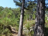 p1050854