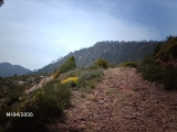 imag0240