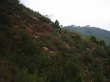DIGITAL CAMERA