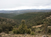 Barranco de la Carcellera