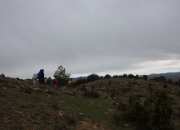 Caminando