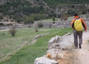 Camino junto la Masia Carcellera