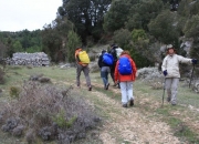 Llegando al corral