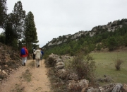 Camino de la Masia d\'en Torres