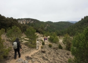 Bajando a la Torre de la Carcellera