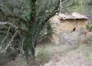 Corral de la Carcellera