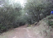 Cruce de la pista