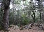 Paraje de la Donzella