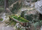 Font de la Donzella