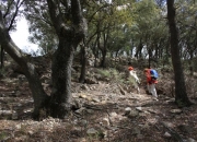 Iniciando el ascenso