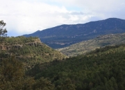 Paisaje