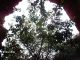 imag0440