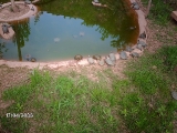 imag0355
