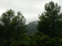 070616 Sueras - Font del Porc - Fuente de Castro - Castillo de Mauz