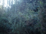 IMAG2805