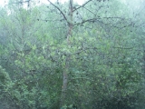 PICT0001