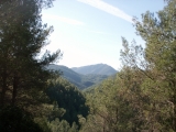 PICT0009